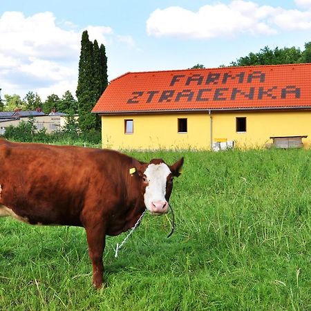 Farma Ztracenka Hotel Porici nad Sazavou Esterno foto