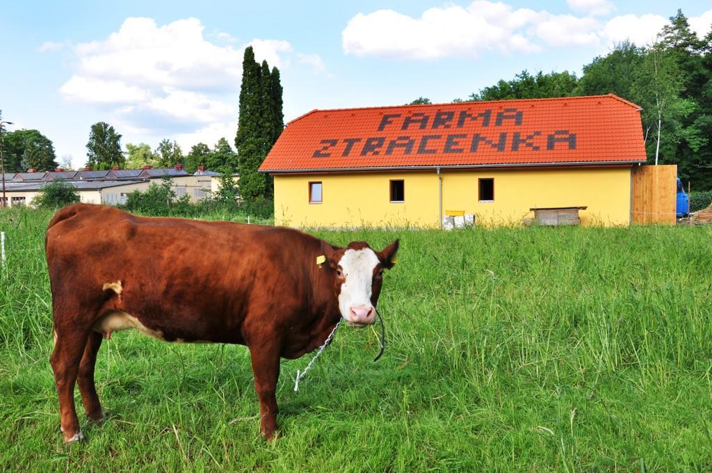 Farma Ztracenka Hotel Porici nad Sazavou Esterno foto