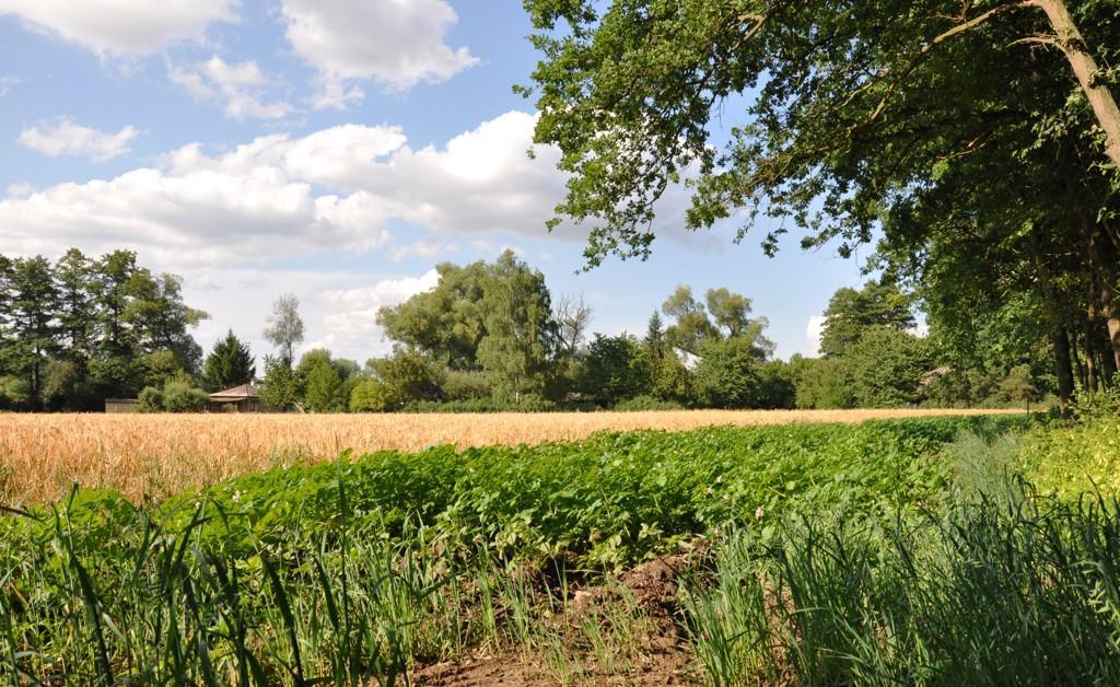 Farma Ztracenka Hotel Porici nad Sazavou Esterno foto