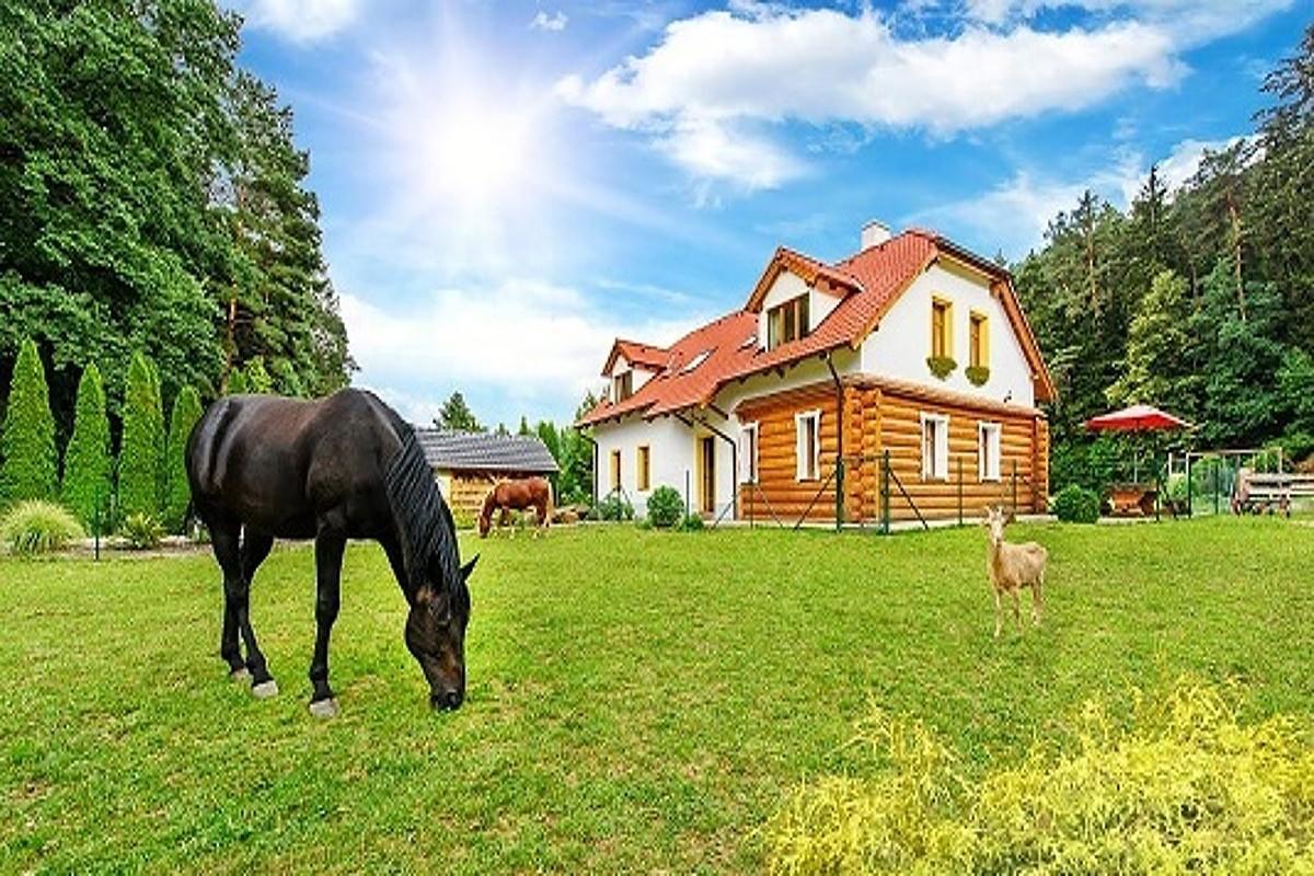 Farma Ztracenka Hotel Porici nad Sazavou Esterno foto